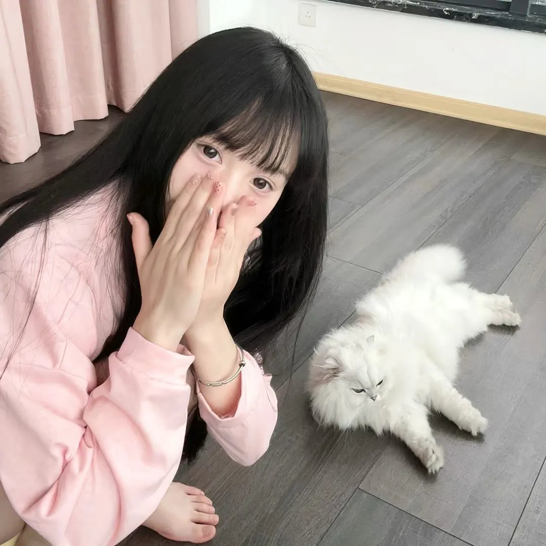 双生赤狐
